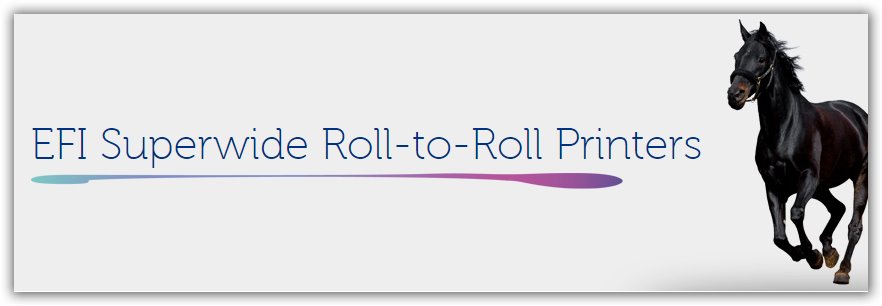 Efi Roll to Roll